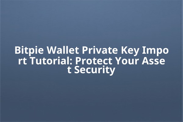 Bitpie Wallet Private Key Import Tutorial: Protect Your Asset Security